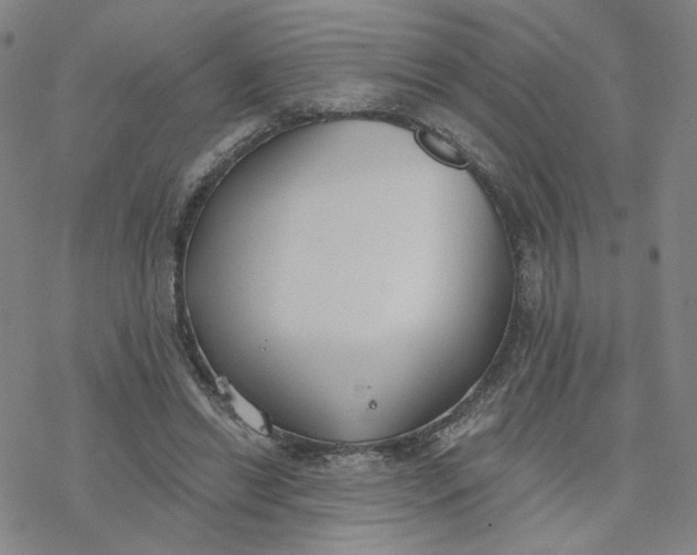 X0000076400446200610271622