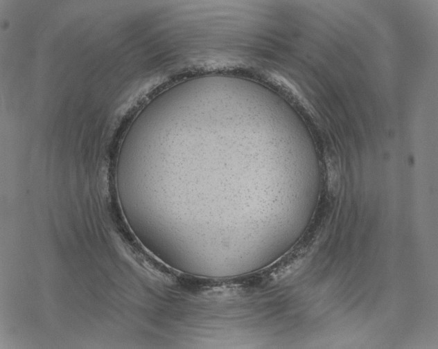 X0000076400447200610271622