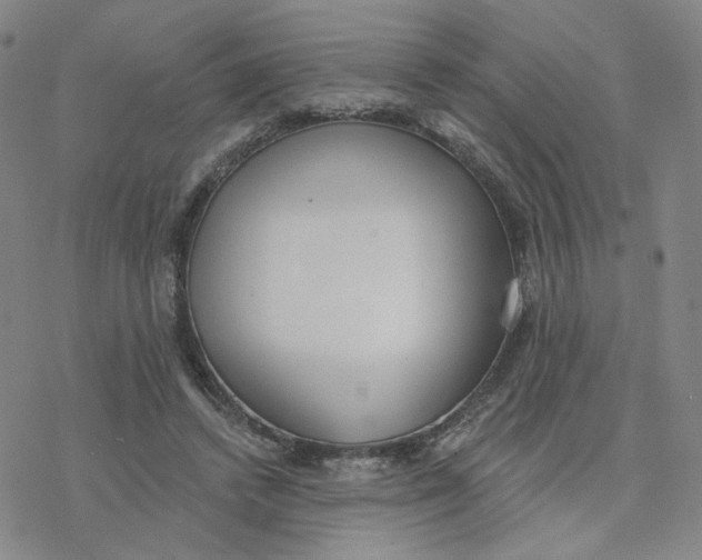 X0000076400448200610271622