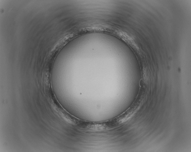 X0000076400449200610271622