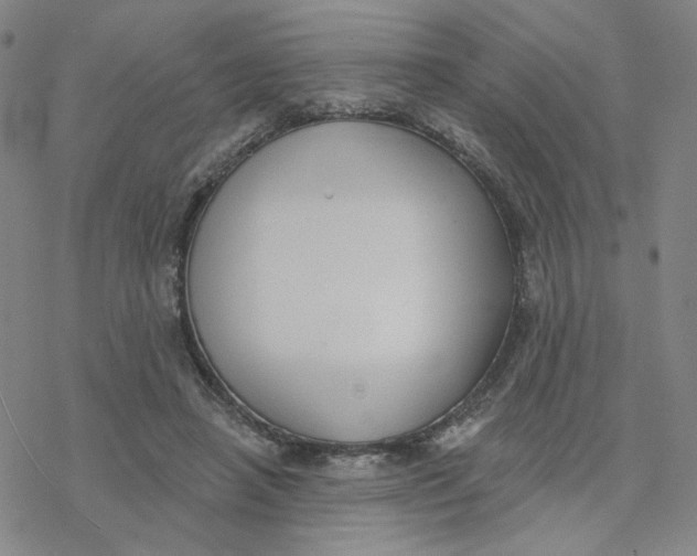 X0000076400450200610271622