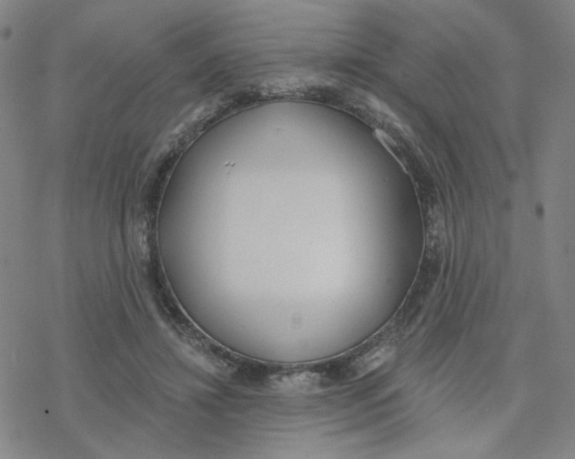 X0000076400452200610271622