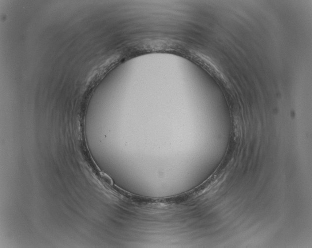 X0000076400453200610271622