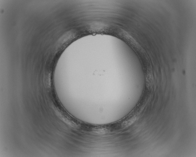 X0000076400454200610271622