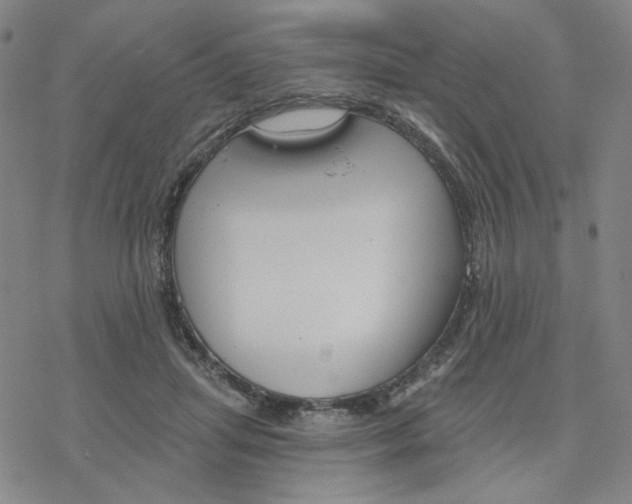 X0000076400455200610271622