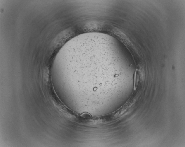 X0000076400458200610271622