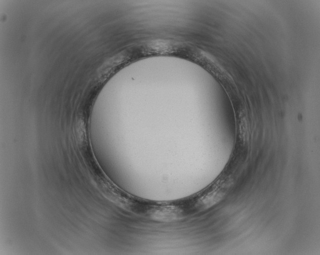 X0000076400459200610271622