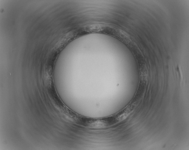 X0000076400460200610271622