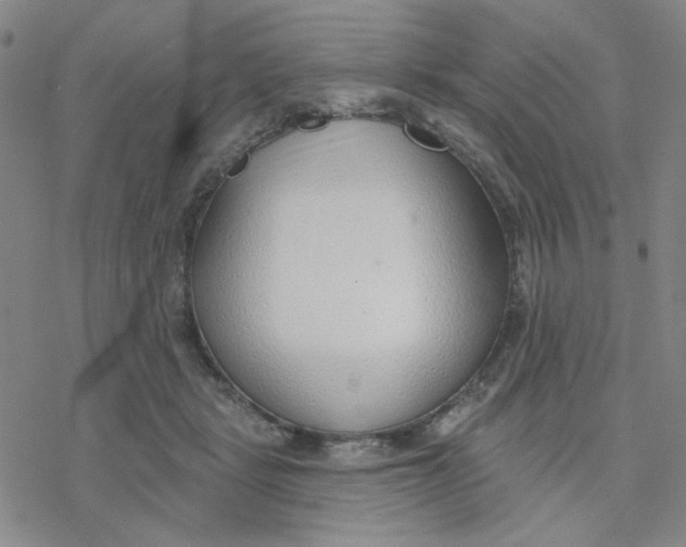 X0000076400461200610271622