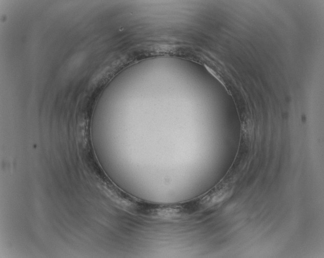 X0000076400462200610271622