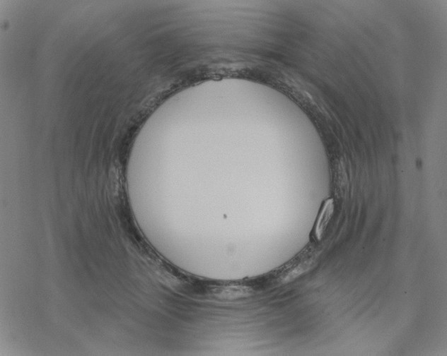 X0000076400463200610271622