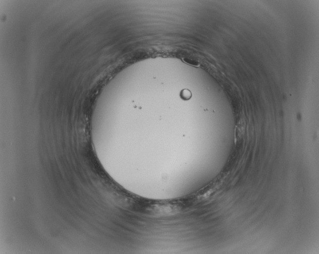 X0000076400464200610271622