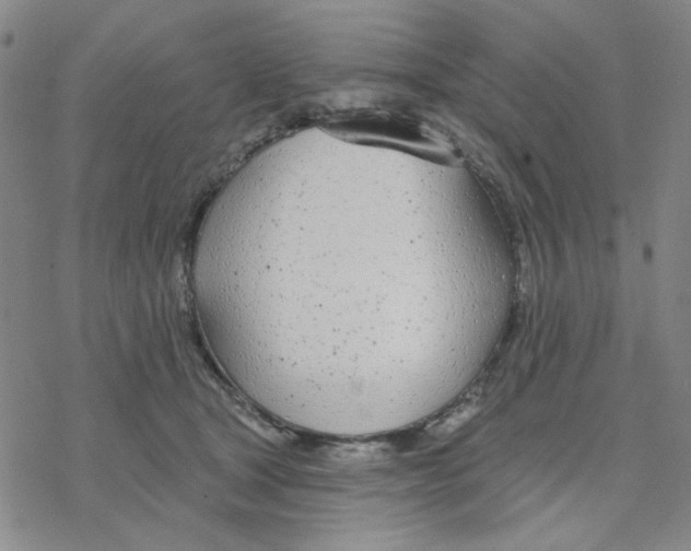 X0000076400465200610271622