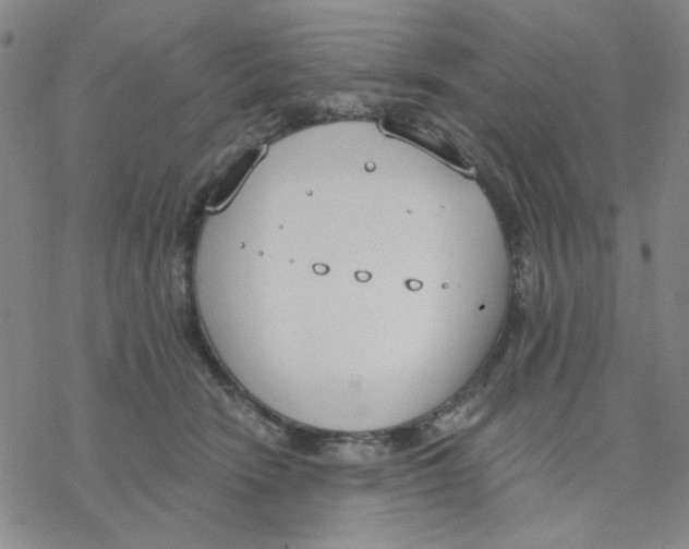 X0000076400466200610271622