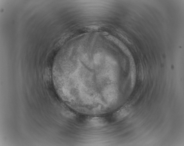 X0000076400467200610271622