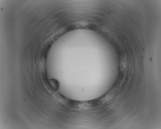 X0000076400468200610271622