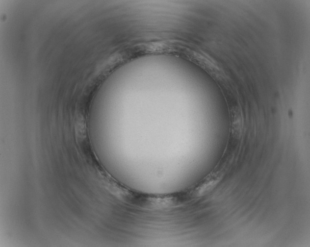 X0000076400469200610271622