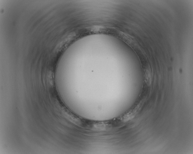 X0000076400470200610271622