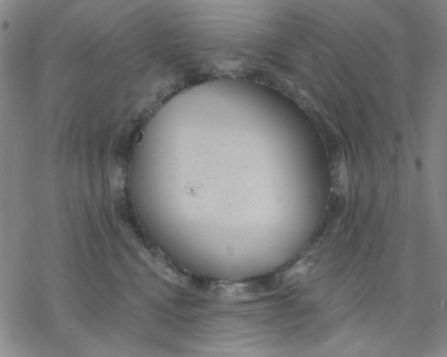 X0000076400472200610271622