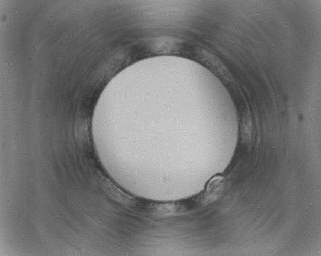 X0000076400473200610271622