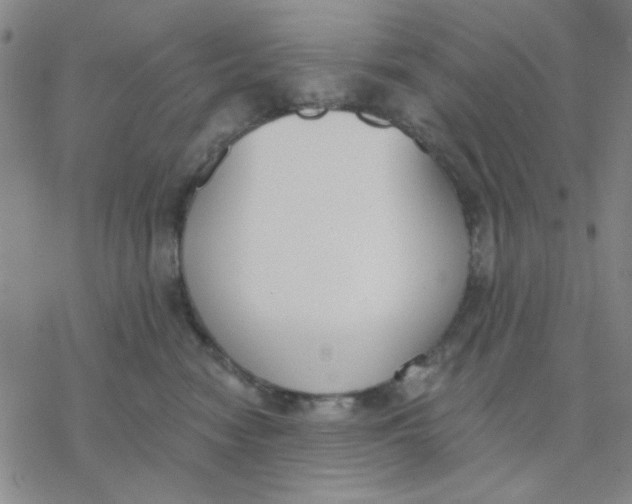 X0000076400474200610271622