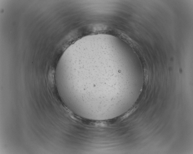 X0000076400475200610271623