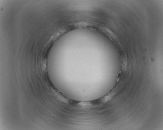 X0000076400477200610271623