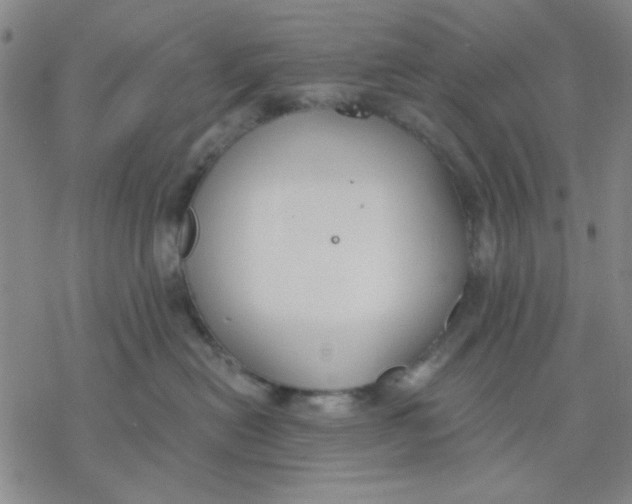 X0000076400478200610271623