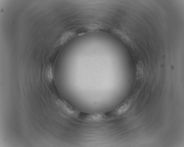 X0000076400479200610271623