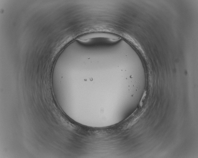 X0000076400481200610271622