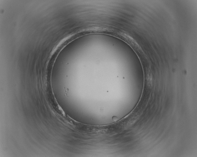 X0000076400484200610271622