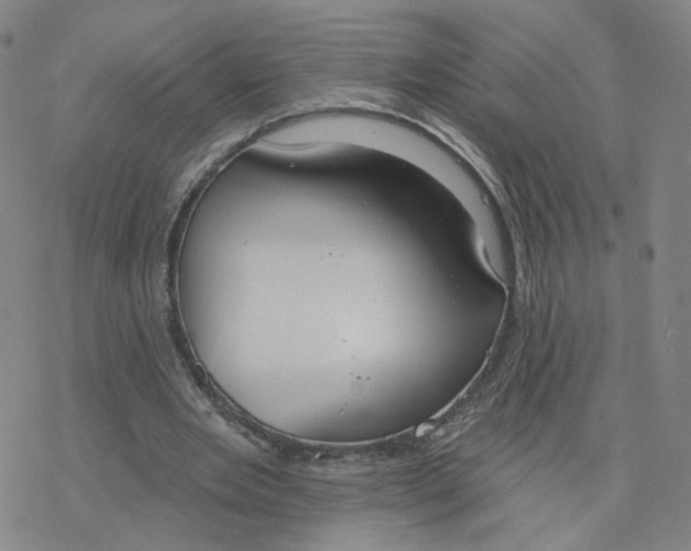 X0000076400485200610271622