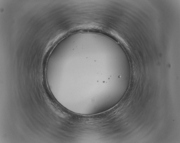 X0000076400486200610271622