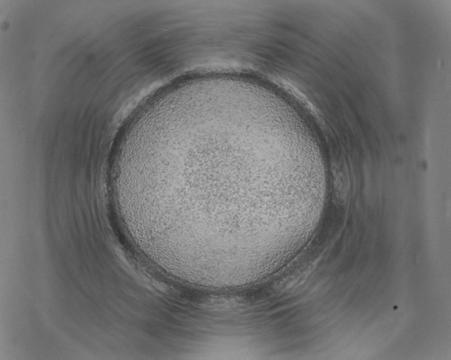 X0000076400487200610271622