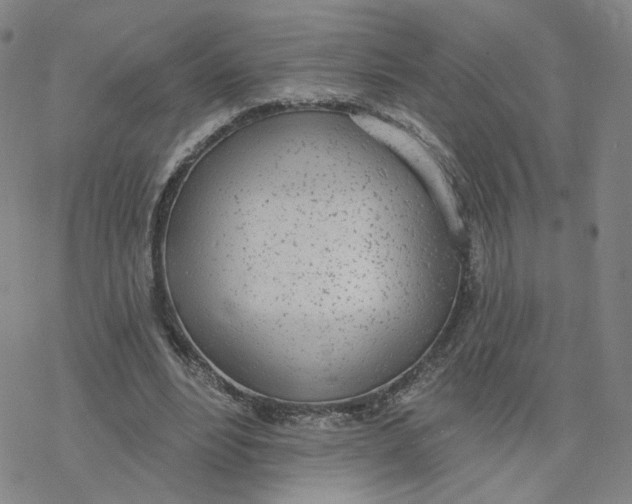 X0000076400488200610271622