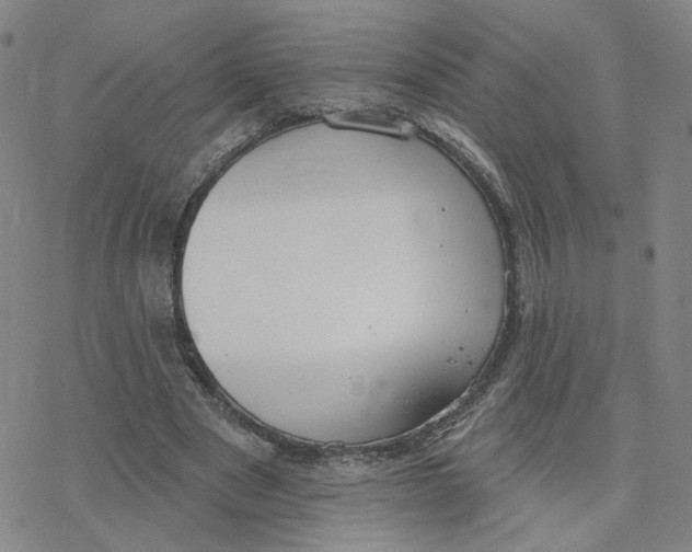 X0000076400489200610271622