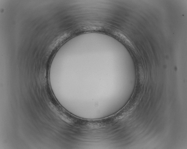 X0000076400490200610271622