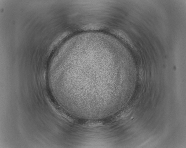 X0000076400491200610271622