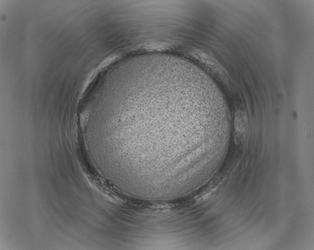 X0000076400492200610271622