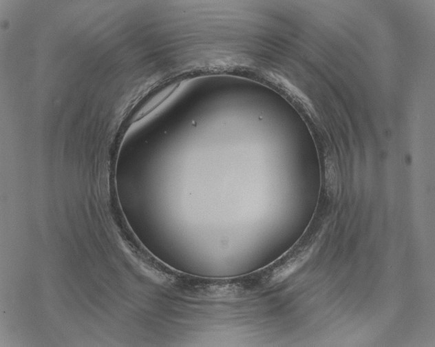 X0000076400493200610271622