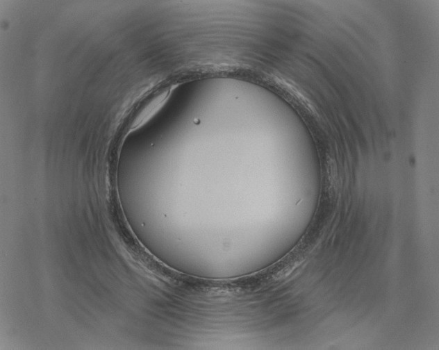 X0000076400494200610271622