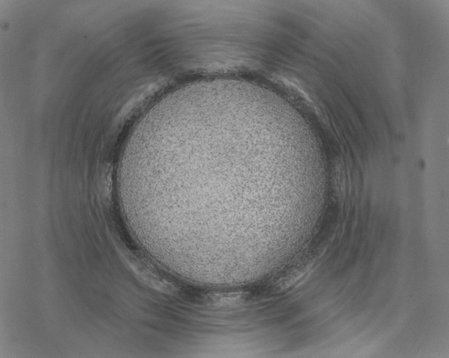 X0000076400495200610271622