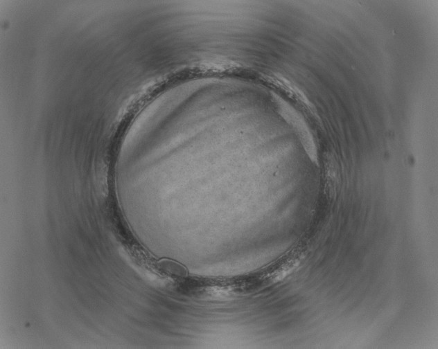 X0000076400496200610271622