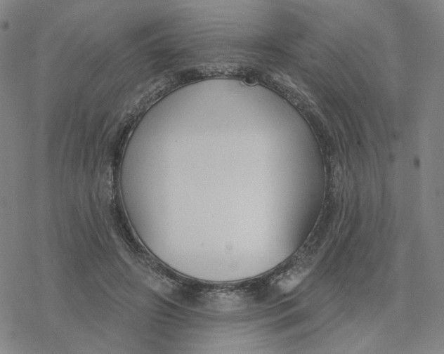 X0000076400498200610271622