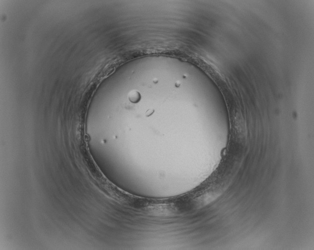 X0000076400499200610271622