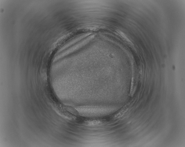 X0000076400500200610271621