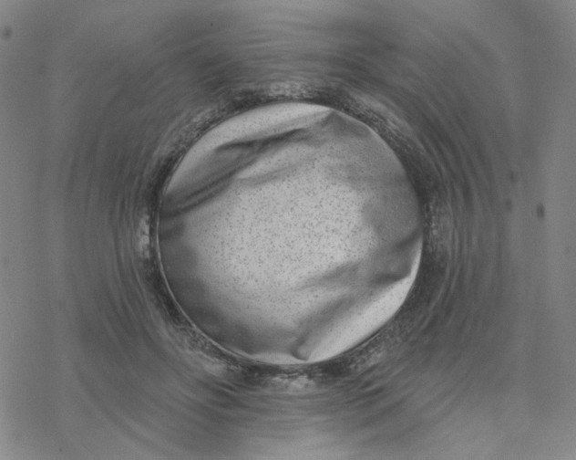 X0000076400502200610271621