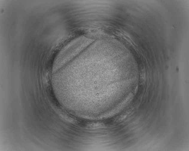 X0000076400503200610271621