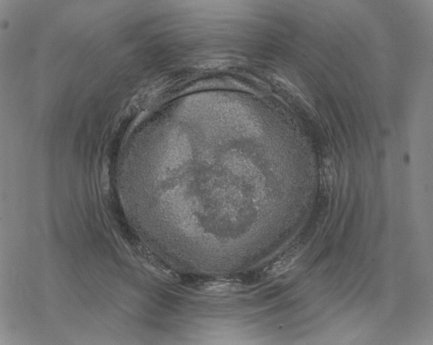 X0000076400504200610271621