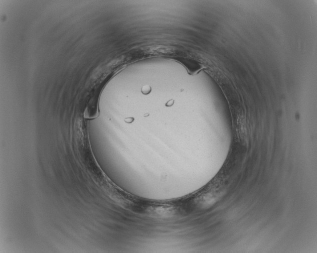 X0000076400506200610271621